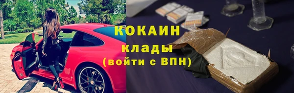 сатива Алзамай