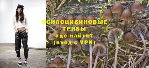 сатива Алзамай