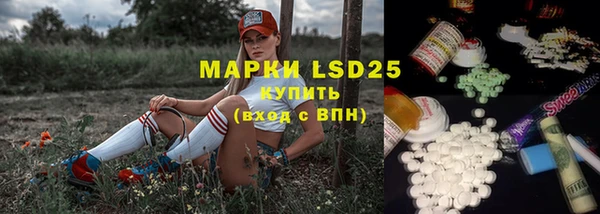 сатива Алзамай