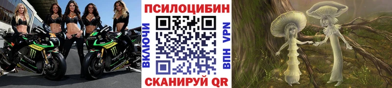 Псилоцибиновые грибы Psilocybine cubensis Ипатово