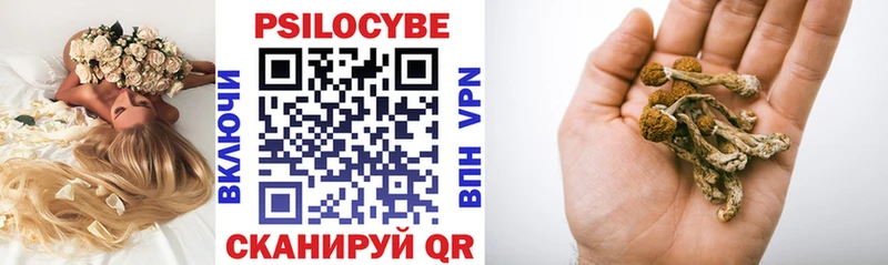 Псилоцибиновые грибы прущие грибы  наркота  Ипатово 